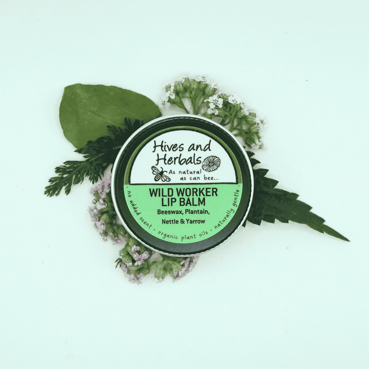 Lip Balm