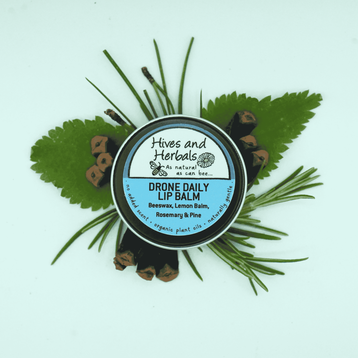 Lip Balm